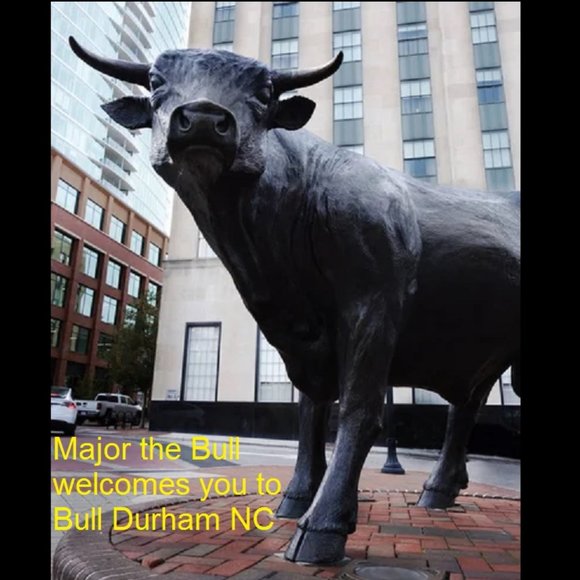 Meet your Posher, BulDur919 - Picture 3 of 4